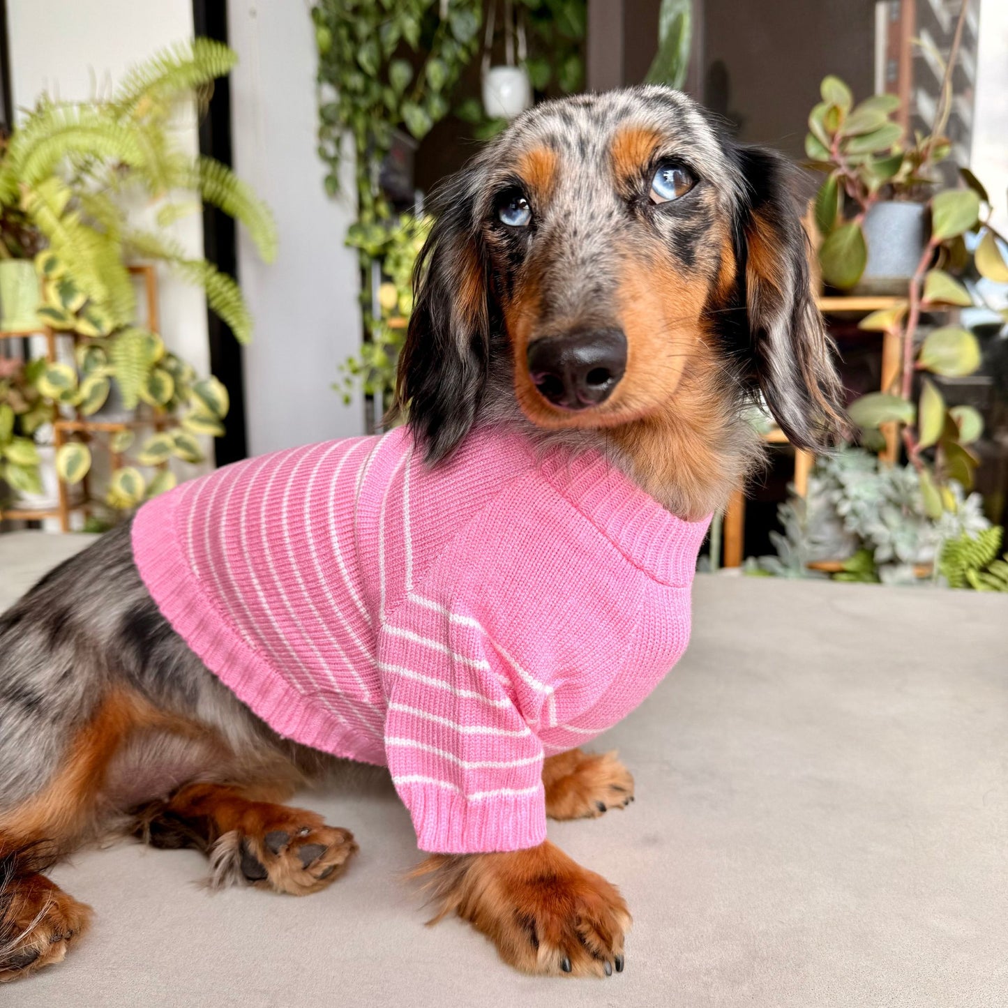 Candy Stripes Pullover