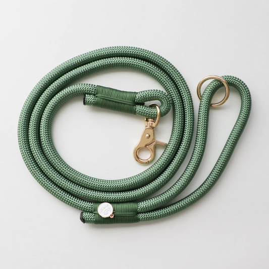 Sage Green Braided Rope Leash