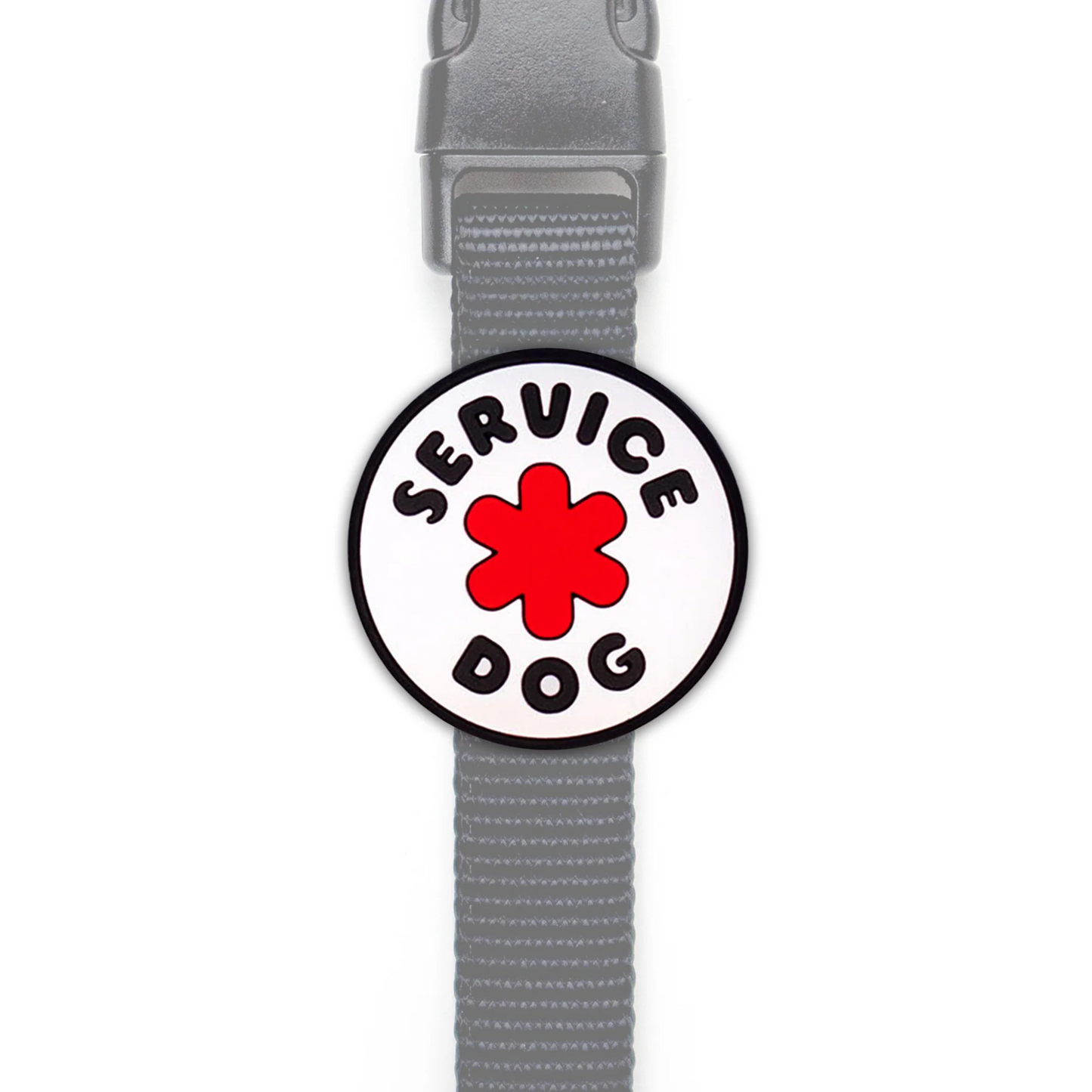 Service Dog Jiby