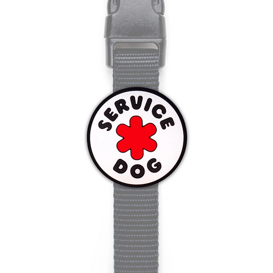 Service Dog Jiby