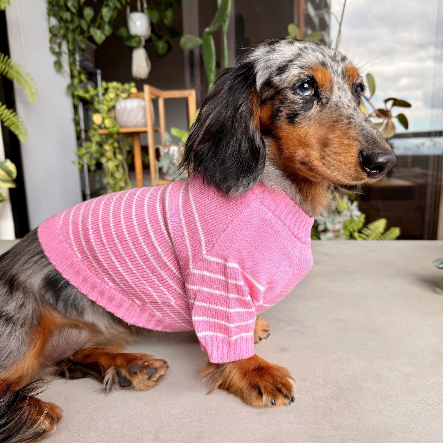 Candy Stripes Pullover