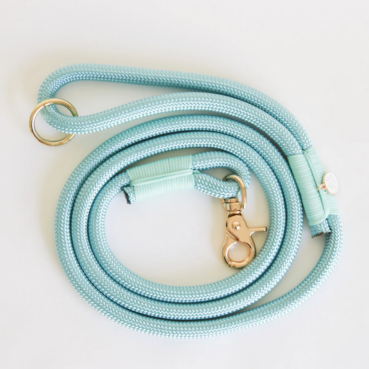 Aqua Braided Rope Leash