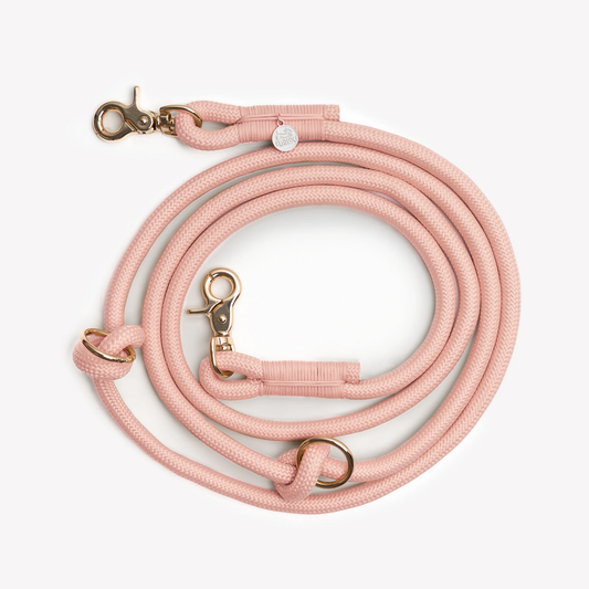 Rose Hands Free Braided Leash
