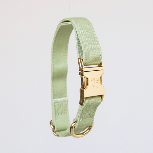 Sage Green Dog Collar