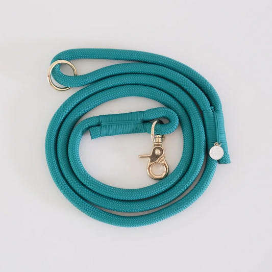 Teal Braided Rope Leash