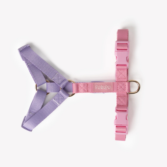 Lavender and Pink Dog Harness