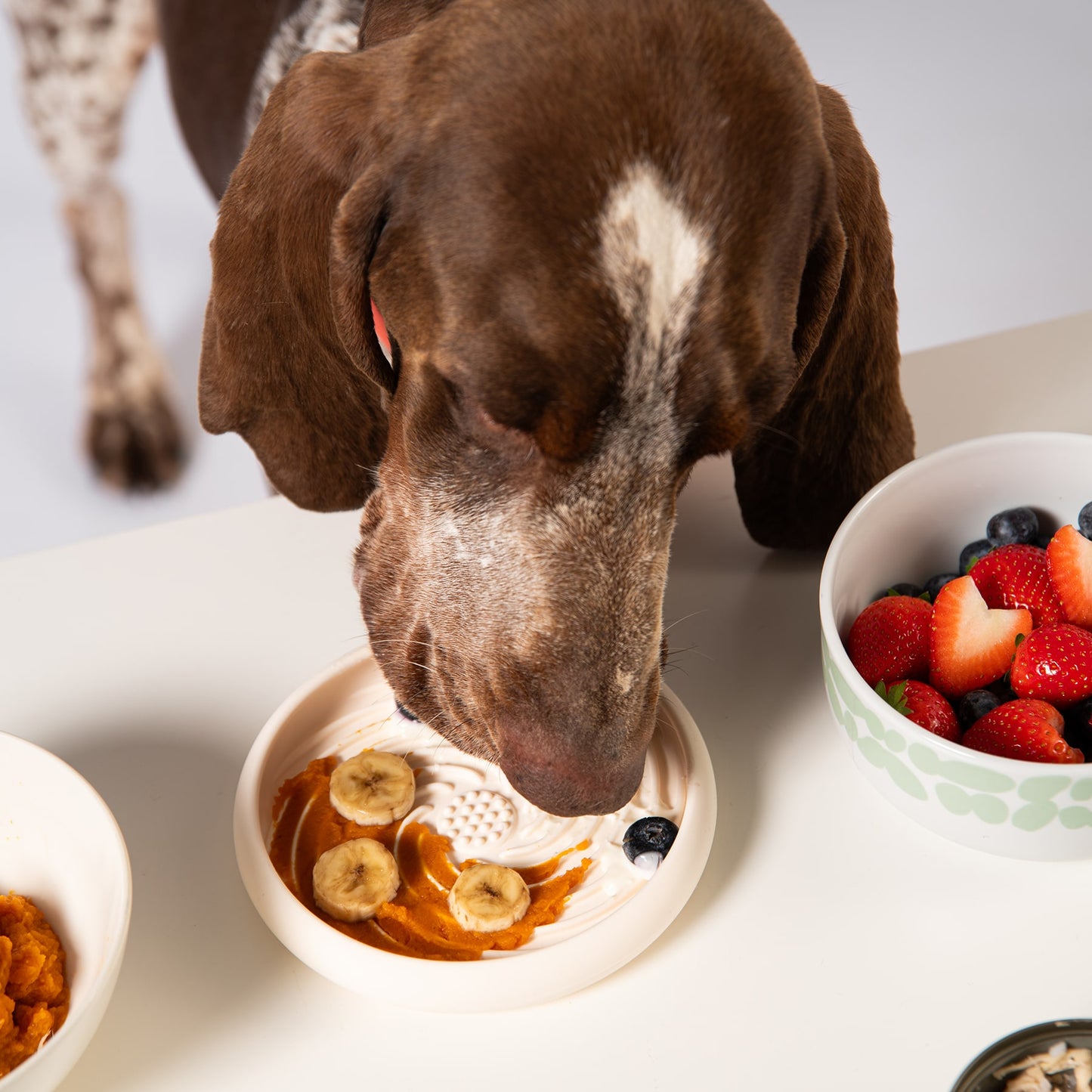 Lick Dish Slow Feeder