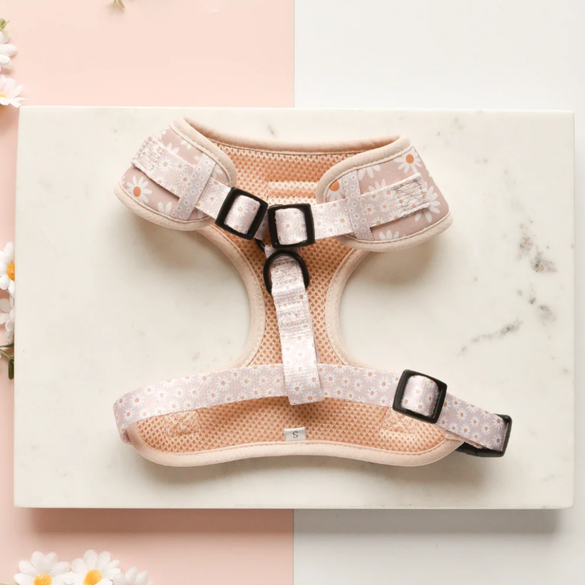 Daisy_Chain_Harness