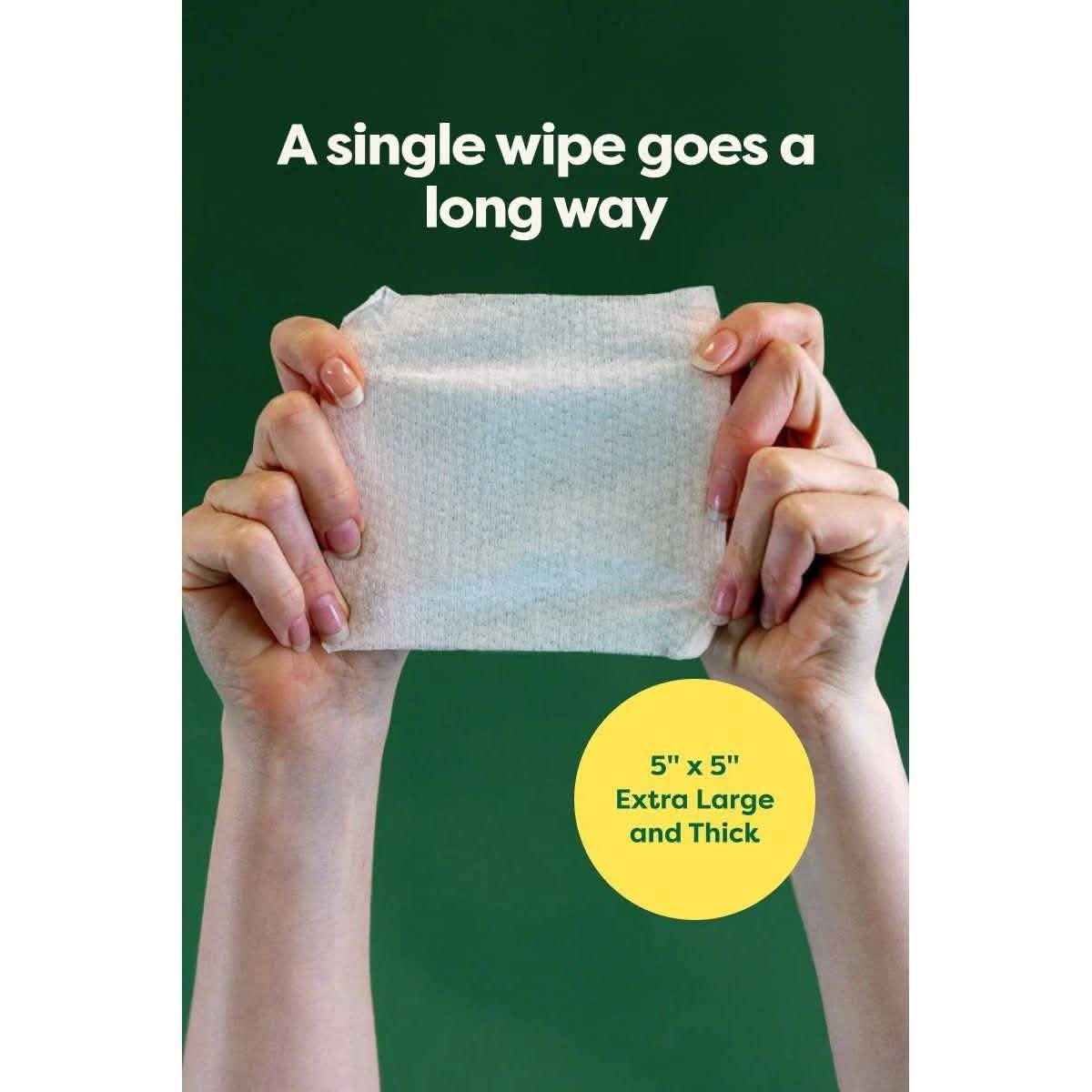 Oatmeal Scent Dog Ear Wipes