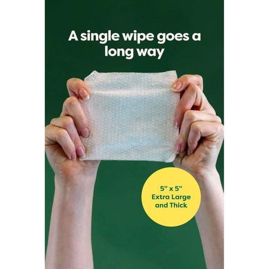 Oatmeal Scent Dog Ear Wipes