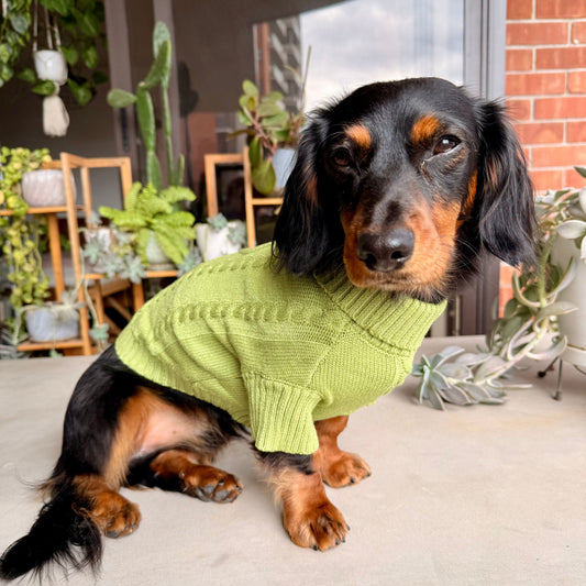 Cozy Matcha Sweater