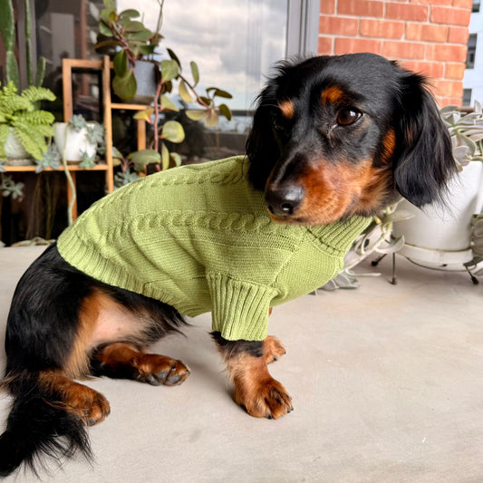 Cozy Matcha Sweater