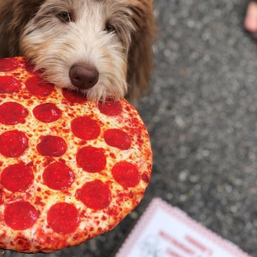 10" Pizza