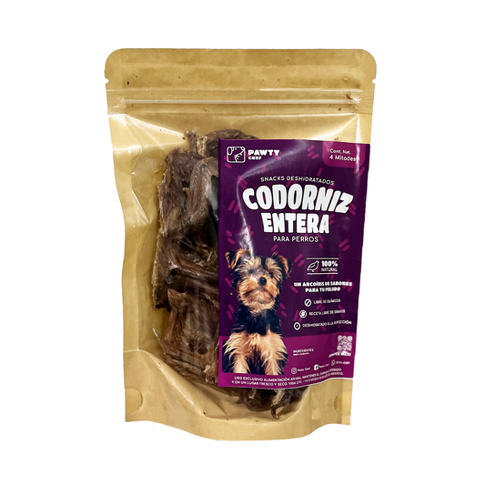 Codorniz