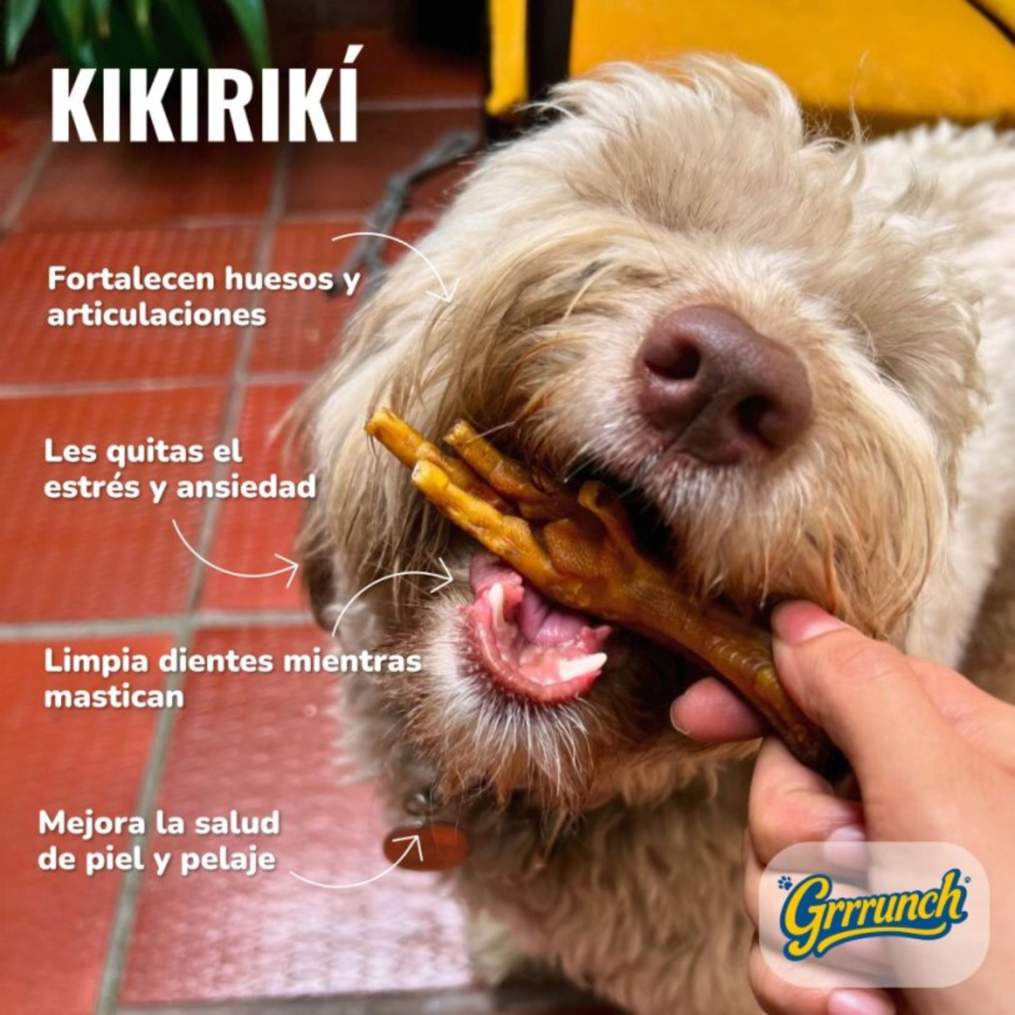 Kikiriki Patas de Pollo