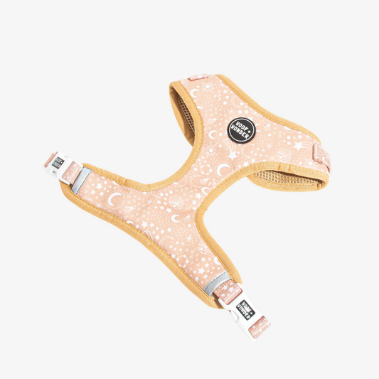 Pawstruck Adjustable Harness