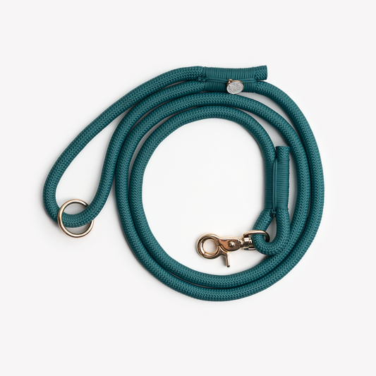 Blue Teal Braided Rope Leash