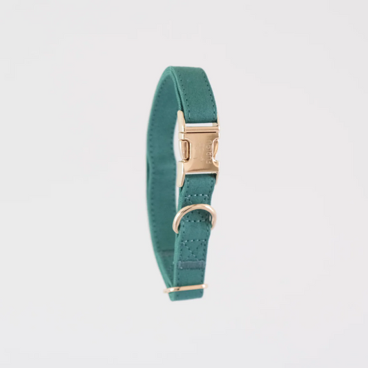 Teal Dog Collar